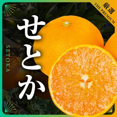三代目の柑橘の大トロ【せとか】2kg【C31−49】【配送不可地域：離島】【1613130】