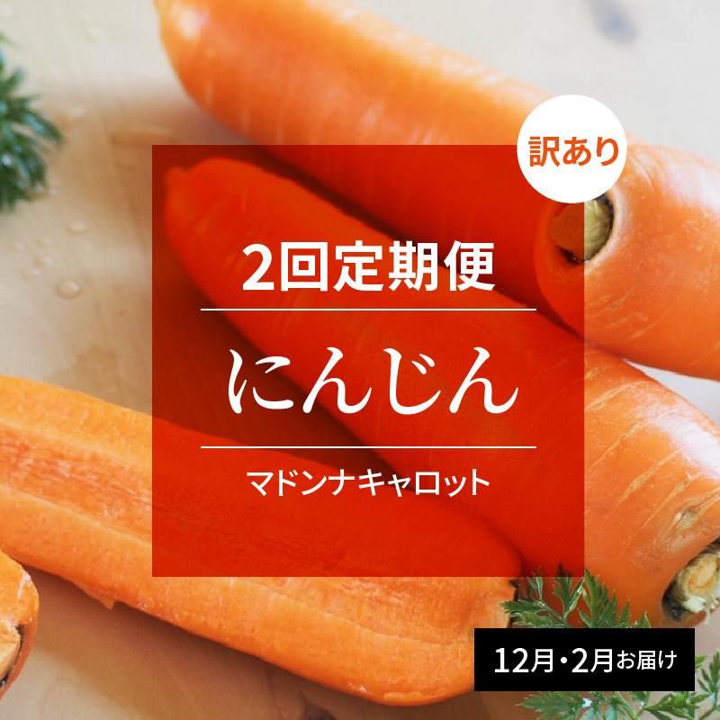 【予約受付】＜フジテレビ『どっちのふるさと？』で紹介されました！＞訳あり 隔月2回定期便 にんじん 12月・2月お届け マドンナキャロット にんじん 人参 ニンジン 野菜 やさい 国産 碧南市 健康 