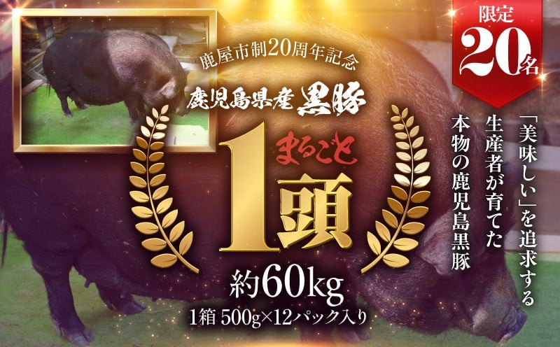 
            【期間限定 GCF限定お礼の品】鹿児島県産 黒豚 まるごと1頭を20名限定お届け！　KN054-G01
          