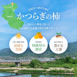 希少な柿【輝太郎】大玉6個～7個 コクのある甘さ！こだわり農家厳選 【2026年9月末～10月末頃に順次発送予定】/ 柿 かき 果物 フルーツ 輝太郎 デザート おやつ 和菓子 菓子 お菓子 和歌山産