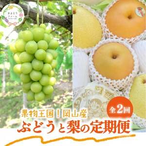 【発送月固定定期便】【きよとうファーム】シャインマスカット大2房と梨2-3種上級品(岡山県産)全2回【配送不可地域：離島】【4067496】