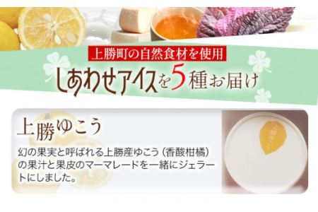 しあわせアイス 5種 セット 計6個 彩食品グループ 《30日以内に出荷予定(土日祝除く)》アイス アイスクリーム ご当地 スイーツ ご当地 アイス 特産品 柑橘 柚香 晩茶 お取り寄せ カップ ジェ