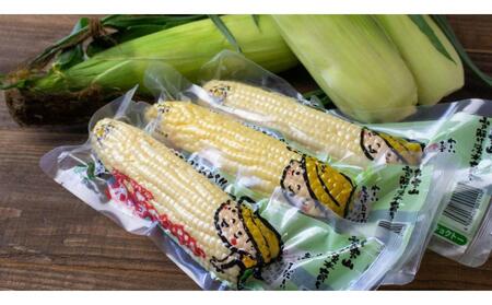 白と黄色のとうもろこし10本セット（真空パック）【 白いとうもろこし 人気 糖度 野菜 スイートコーン バーベキュー BBQ コーン お取り寄せ 旭川市 北海道 】_04804