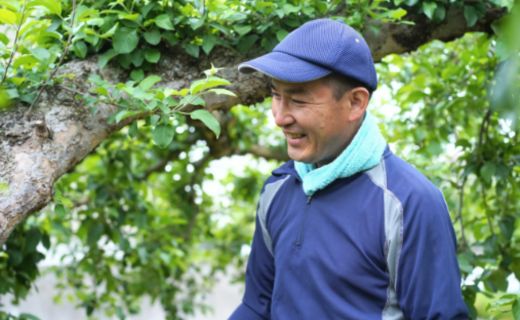 No.2870 もも（品種おまかせ）ご家庭用　約2.7kg　【2026年発送】