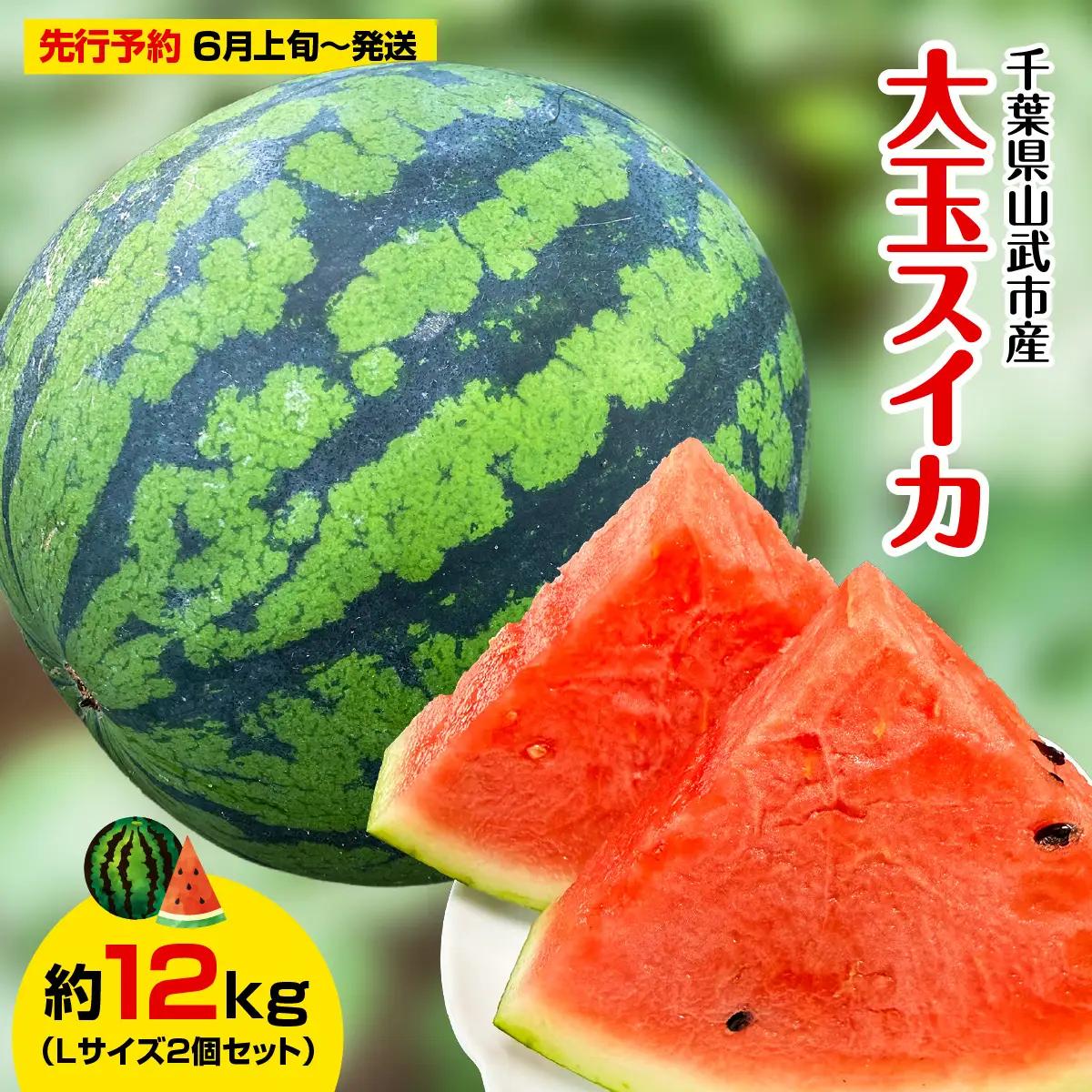 【先行予約・2027年6月上旬～発送】千葉県山武市産の大玉スイカ約12㎏（Ｌサイズ２個セット）SMDA001