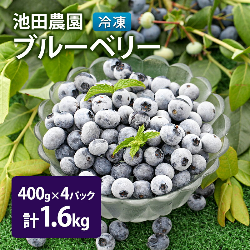【ふるさと納税】冷凍 ブルーベリー 1.6kg (400g×4パック) 北海道産 フルーツ 果物 旬のフルーツ 旬の果物 くだもの 北海道 芦別市