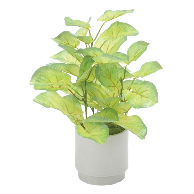 【ふるさと納税】光の楽園 フレッシュバウヒニアS【配送不可：北海道・沖縄・離島】 インテリア 光触媒 人工植物 造花 フェイクグリーン 花 フラワー 清浄 消臭