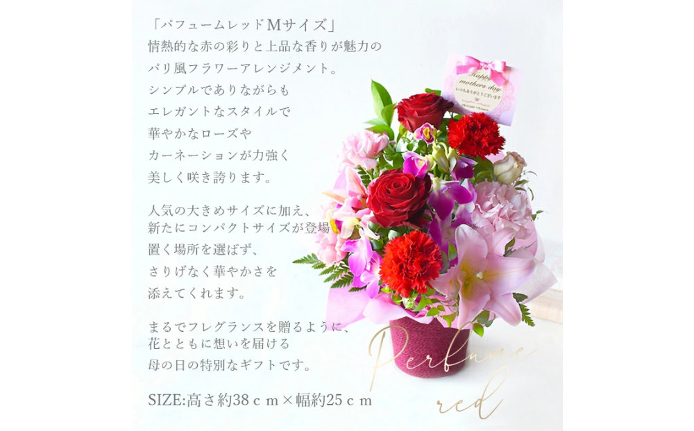 【母の日】パフュームレッドMサイズ＜お届け日：2026年5/8～5/10 当店おまかせ ＞母の日カード付き【 母の日 ギフト アレンジ 花 贈り物 大阪府 門真市 】