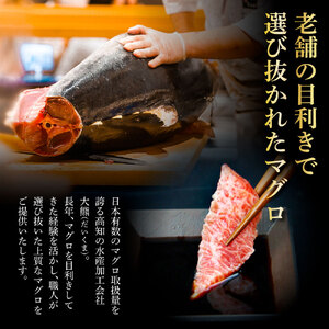 本マグロ 大 中トロ 赤身 200g セット | 土佐市 本マグロ BQAA039