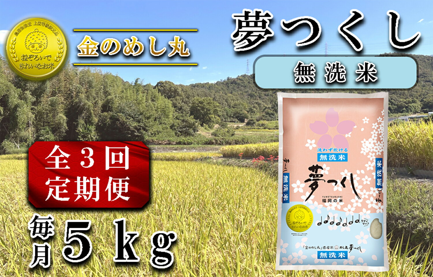 【ふるさと納税】【定期便3回】令和7年米〈無洗米〉　金のめし丸夢つくし 5Kg（1袋）×3回_CE-084