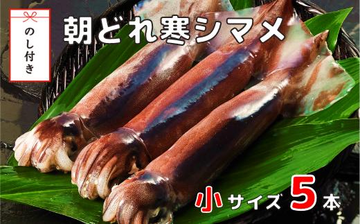 【のし付き】朝どれ寒シマメ小サイズセット（160-200ｇ×5）スルメイカ するめ 烏賊 いか イカ スルメ 刺身 イカ焼き 年末年始 お正月 御歳暮 ギフト
