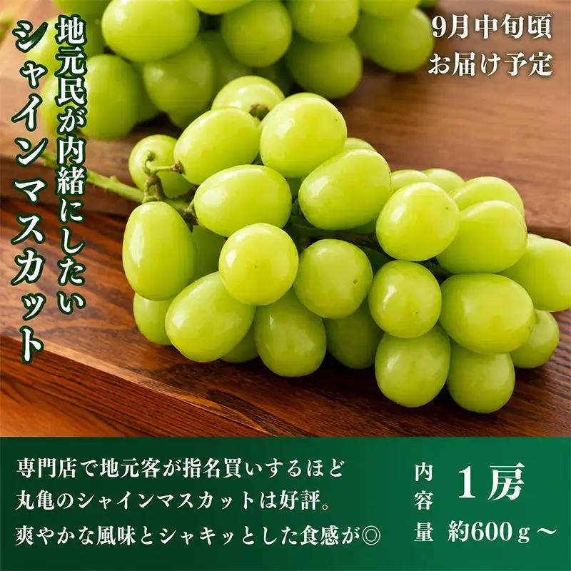 フルーツ 定期便 4回 いちご 桃 シャインマスカット みかん 果物