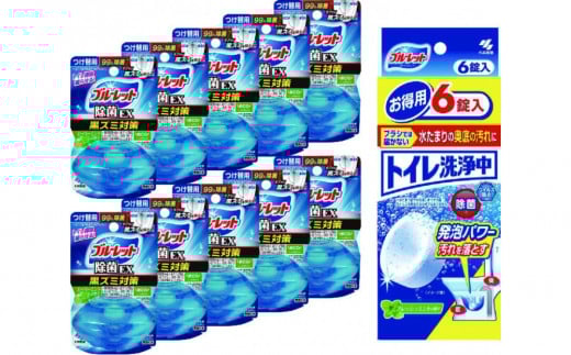 
            液体ブルーレットおくだけ除菌ＥＸスーパーミント　付替え用10個＆トイレ洗浄中(6錠)×1
          