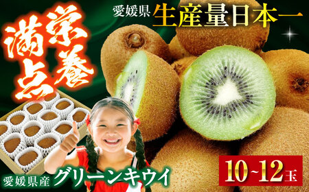 グリーンキウイ（10-12玉）グリーンキウイ[AGBA016]