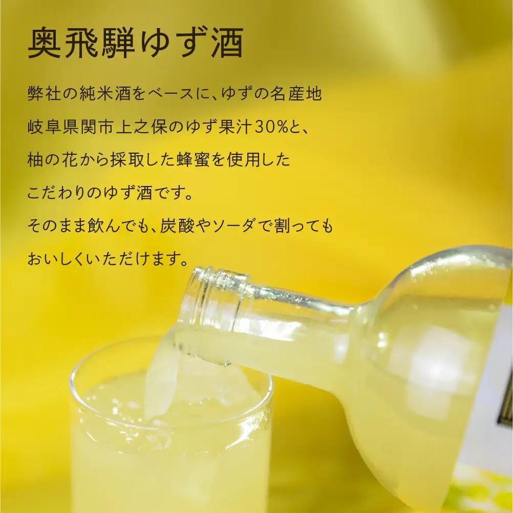 奥飛騨ゆず酒　500ml×2本 セット 【16-35】