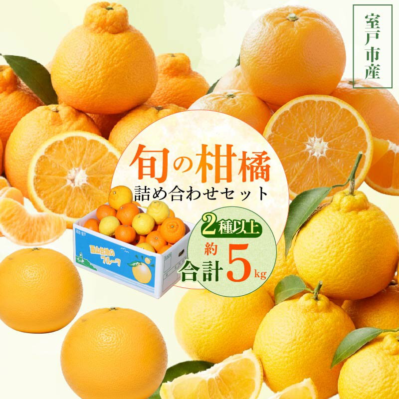 【ふるさと納税】【旬の柑橘詰め合わせ5kg】 訳あり 柑橘 詰め合わせ 食べ比べ ミカン みかん 蜜柑 ポンカン ぽんかん せとか デコポン 不知火 しらぬい なつみ 小夏 フルーツ くだもの 果物 青果 産直 旬 期間限定 家庭用 西山台地のフルーツ園 高知県 室戸市