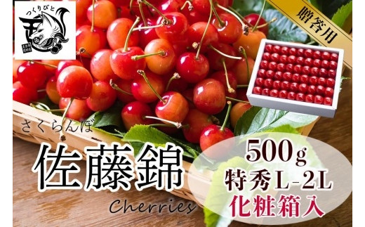 【2026年発送】さくらんぼ　佐藤錦　特秀　L-2L　500ｇ　化粧詰め
