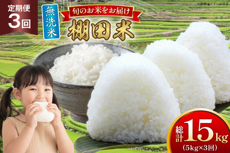 米 令和7年 無洗米 棚田米 5kg 3回 定期便 総計15kg [ひらど新鮮市場 長崎県 平戸市 hr42bgy400193]