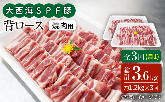 【3回定期便】大西海SPF豚 背ロース（焼肉用）計1.2kg 訳あり ＜大西海ファーム＞ [CEK096] 豚肉
