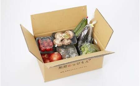 L-37 鮮度抜群！肥前の国のお野菜詰め合わせセット（8～10品目）　野菜 詰め合わせ 野菜セット 野菜詰め合わせ 旬野菜 採れたて 新鮮野菜 常備菜 国産 佐賀県産 太良町 こだわり 産地直送