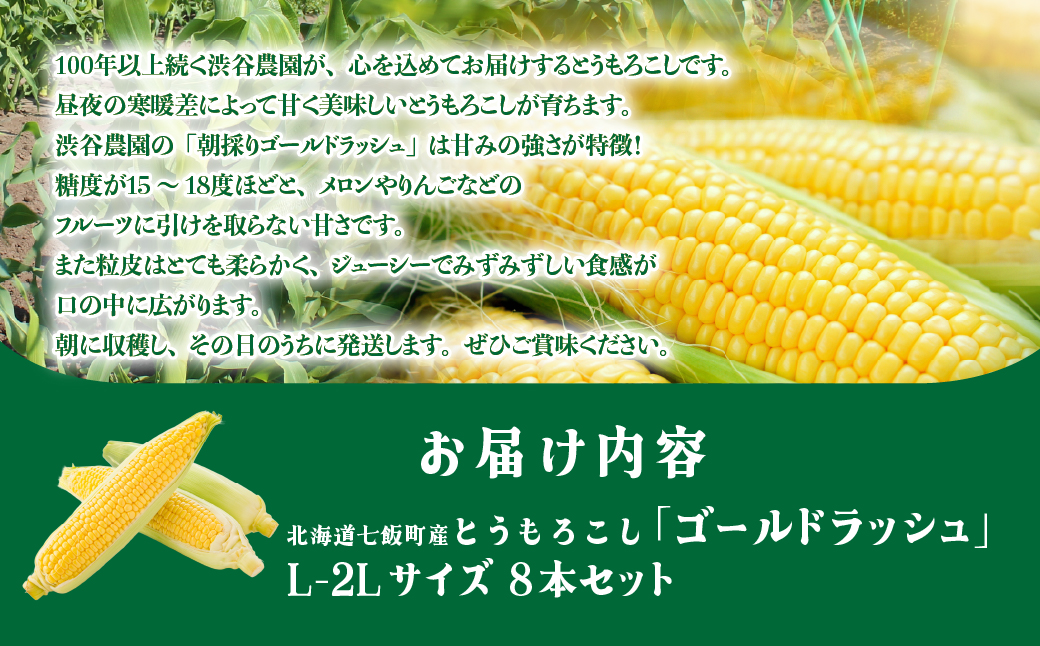 【先行予約 令和8年8月発送】北海道七飯町産 とうもろこし「ゴールドラッシュ」(L-2Lサイズ) 8本セット NABT006
