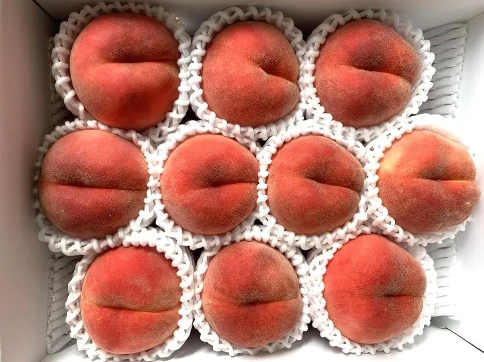 白桃（品種おまかせ）３ｋｇ　0020-2612