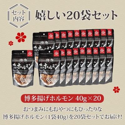 ふるさと納税 古賀市 博多揚げホルモン(20袋セット) |  | 01