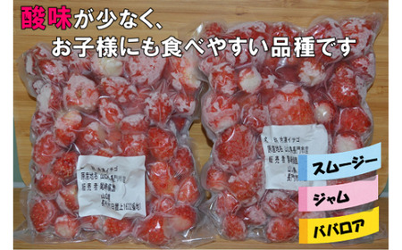 苺 いちご 長門産 冷凍いちご 1kg 500g×2袋「かおりの」フルーツ (1019)