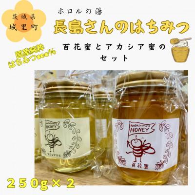ふるさと納税 城里町 長島さんのはちみつ 百花蜜とアカシア蜜　各250g
