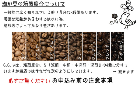 【宝塚】3ヶ月の定期便（当日自家焙煎珈琲豆6種 計1200g）Type2【粉】