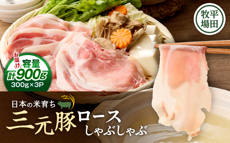 日本の米育ち平田牧場 三元豚ロースしゃぶしゃぶ 300g×3パック（計900g）　T036-008