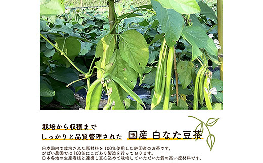 国産 白なた豆茶：B100-015_イメージ3