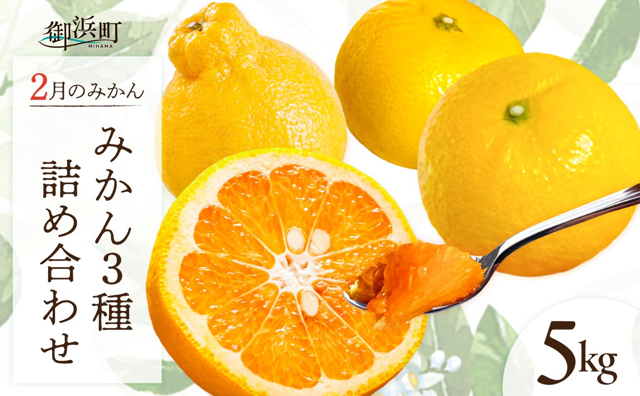 
            【2026年発送 先行予約品】2月の御浜柑橘　みかん詰め合わせ5キロ【先行予約 期間限定 果物 フルーツ みかん 市木オレンジ みえのスマイル 早生三宝柑 三宝柑 詰め合わせ 5kg 冬 三重県 御浜町】
          