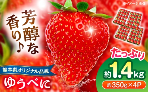 【先行予約】【2027年3月中旬より順次発送】いちご ゆうべに 百花園ファーム 約1.4kg（約350g×4P）20粒/P Lサイズ 【株式会社合志百花園ファーム】 [AYDW007]