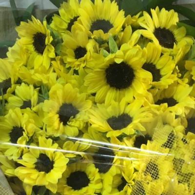 ふるさと納税 小山市 【ひまわりの花束】期間限定!あったらラッキーの幸運の花束