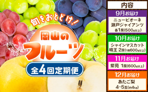 フルーツ 定期便 果物 定期便【2025年先行予約】定期便4回コース 岡山のフルーツ ニューピオーネ 1房 瀬戸ジャイアンツ 1房 シャインマスカット 晴王 2房 紫苑 1房 あたご梨 4~5玉 化粧箱入り 株式会社山博(中本青果) 《2025年9月上旬-12月下旬頃出荷》 岡山県 浅口市 果物【配送不可地域あり】