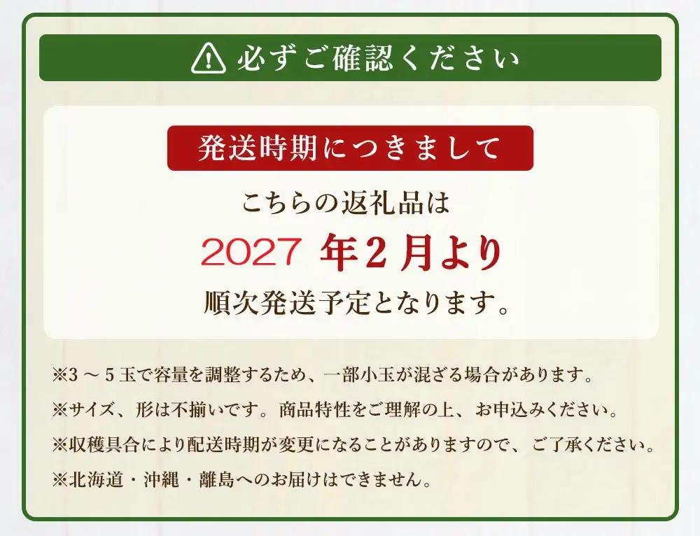 【2027年2月より順次発送】★大玉規格★博多あまおう2パック 約500g[H2224]