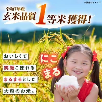 ふるさと納税 糸島市 【スピード発送】令和7年産 にこまる 玄米品質1等米 白米 10kg 糸島市産[AGR002] |  | 01