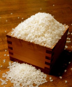 【期間限定】島玉ねぎ（新玉ねぎ）2.5kg+白米10kg　★発送3月～