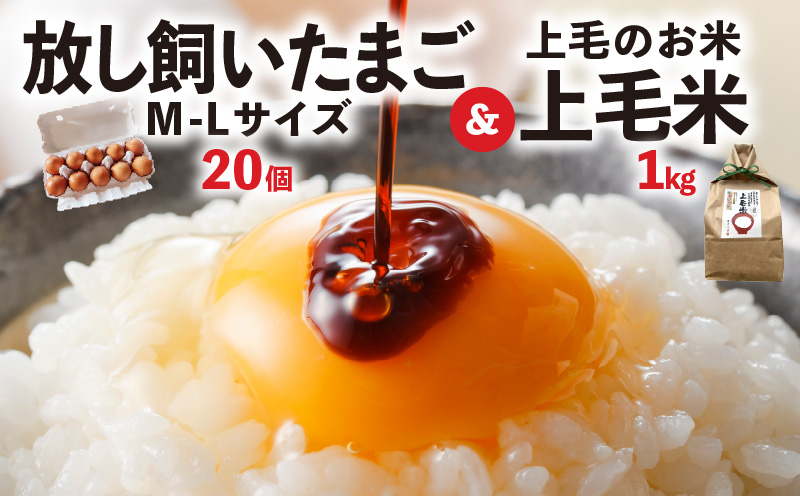 放し飼いたまご「かぐやひめ」20個＆米1㎏【福岡上毛町産】　C01906