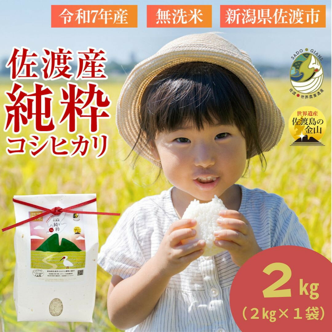 【ふるさと納税】【新潟県佐渡】純粋コシヒカリ＜数量限定＞ 令和7年産 精米【無洗米】2kg 送料無料 | 佐渡市 純粋コシヒカリ 新潟県産 美味しい お米 ご飯 料理 おすすめ 送料無料