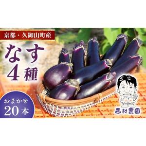 なす4種類おまかせ20本!(水なす・フルーツなす・千両なす・ふわとろ長なす)【1613686】