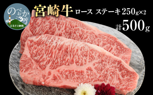 宮崎牛ロースステーキ 250g×2 計500g N0147-YB827