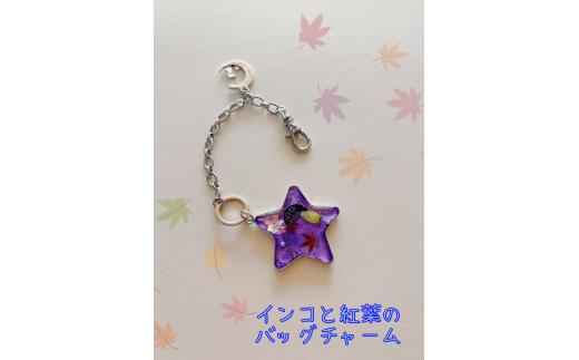 手作りアクセサリー（レジンチャーム）｜チャーム プレゼント ギフト キーホルダー インコ 鳥 手作り 1点もの 就労支援施設 かわいい 秦野 神奈川 いんくるネット