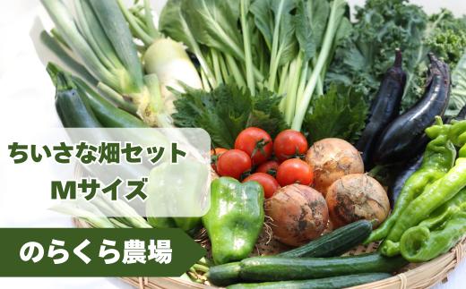 【先行受付】有機野菜ちいさな畑セット（Mサイズ　２～３人前）［NK-101-01］
