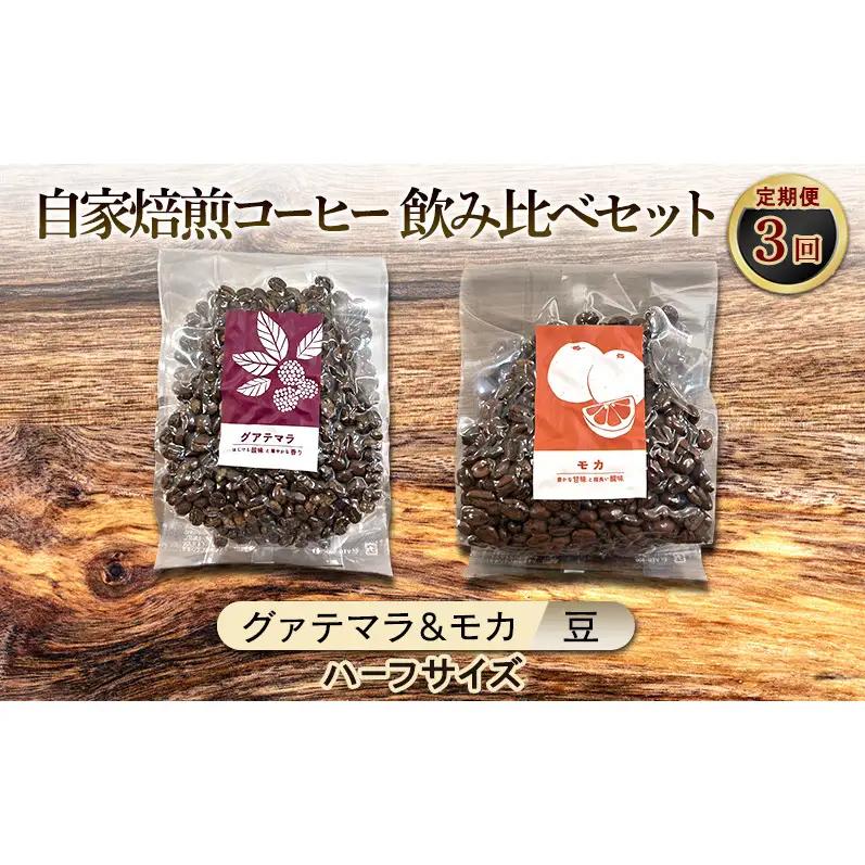 飲み比べセット 自家焙煎コーヒー グァテマラ モカ 飲み比べセット【グァテマラ111g モカ143g】【定期便 3ヶ月】