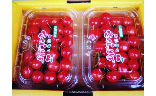 【令和8年産先行予約】 温室さくらんぼ 「佐藤錦」 約400g (