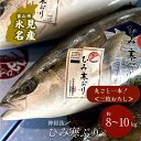 【ふるさと納税】 ＜先行予約＞ ひみ寒ぶり朝どれ1本＜三枚おろし＞（神経抜〆8～10kg） ｜富山湾 氷見 氷見漁港 能登 寒ブリ 1本 天然鰤 天然 鮮魚 ブリ 産地直送 期間限定