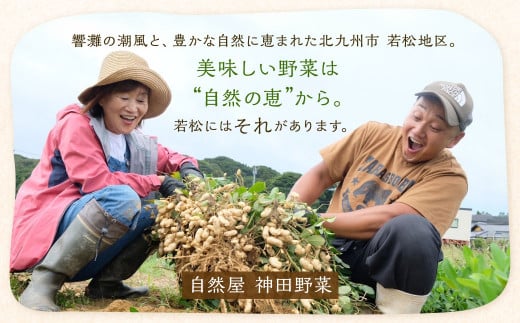 【12回定期便】若松産神田野菜 季節の野菜 詰め合わせ