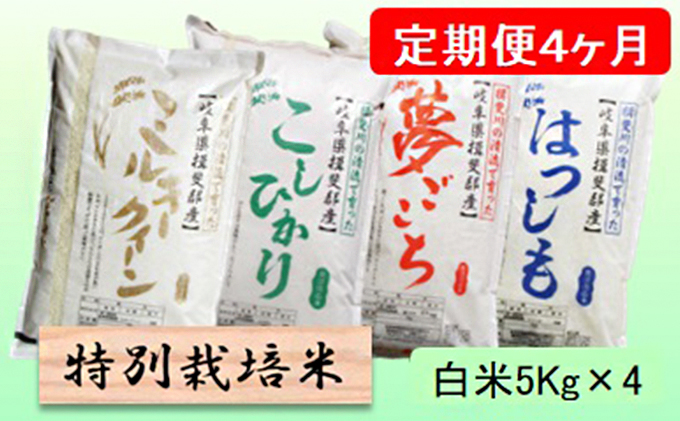 特別栽培米★[定期便] 4カ月★毎月 白米５kg 【ミルキークイーン・コシヒカリ・夢ごこち・ハツシモ】